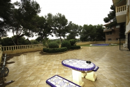 Продажа виллы в провинции Costa Blanca South, Испания: 6 спален, 360 м2, № RV5628SR – фото 11