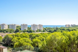 Продажа апартаментов в провинции Costa Blanca South, Испания: 2 спальни, 65 м2, № RV3547UR-D – фото 15