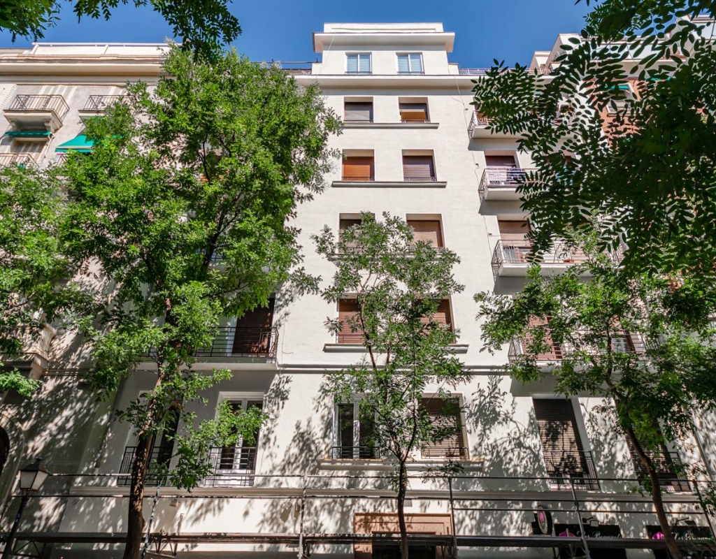 RV2381BF : Отремонтированная стильная квартира в Мадриде