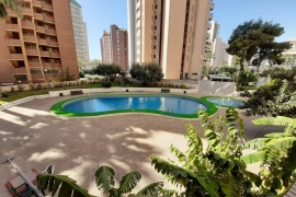 Resale - Апартаменты - Бенидорм - Benidorm