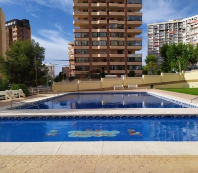 Apartment - Resale - Benidorm - Benidorm